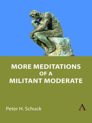 cover image of More Meditations of a Militant Moderate